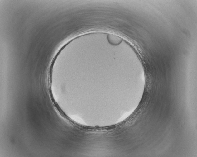 X0000115331519200912141208