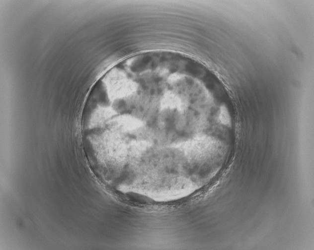 X0000115331521200912141208