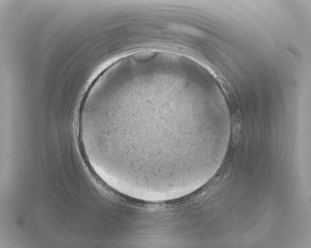 X0000115331523200912141208