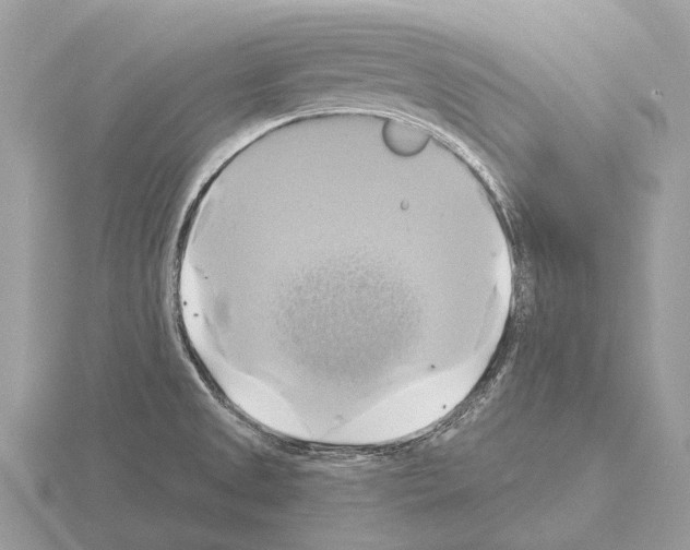 X0000115331525200912141208