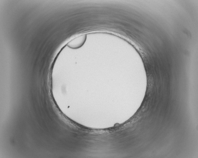 X0000115331526200912141208