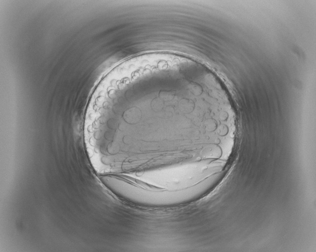 X0000115331529200912141208