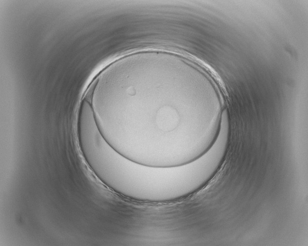 X0000115331530200912141208