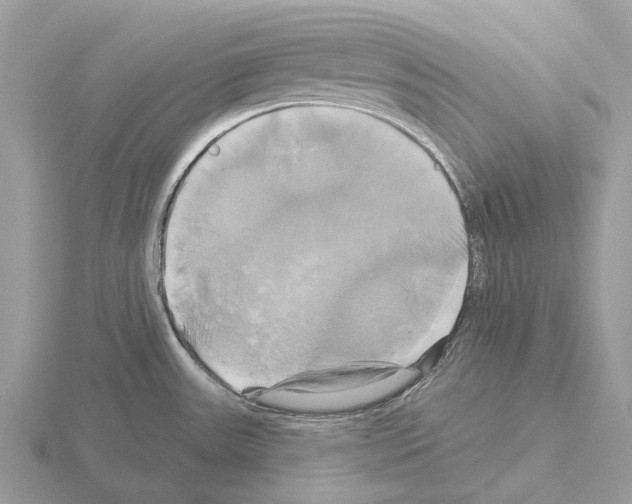 X0000115331531200912141208