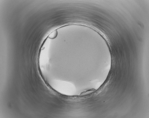 X0000115331533200912141209