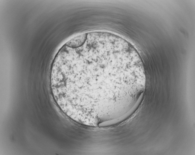 X0000115331534200912141209