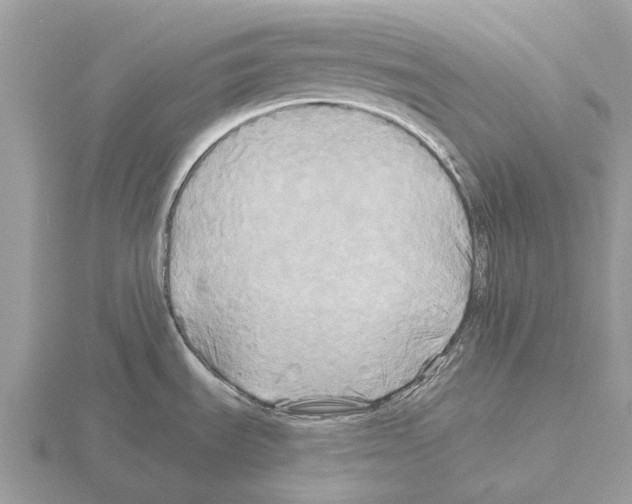 X0000115331535200912141209