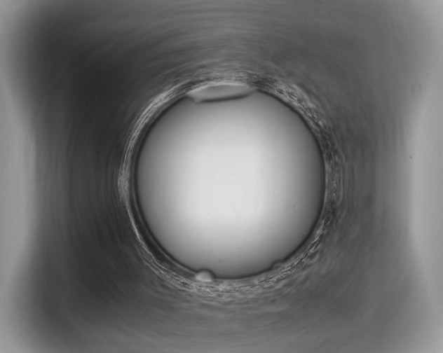 X0000115340003200911091314