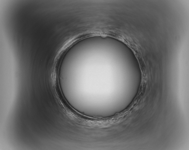 X0000115340005200911091314