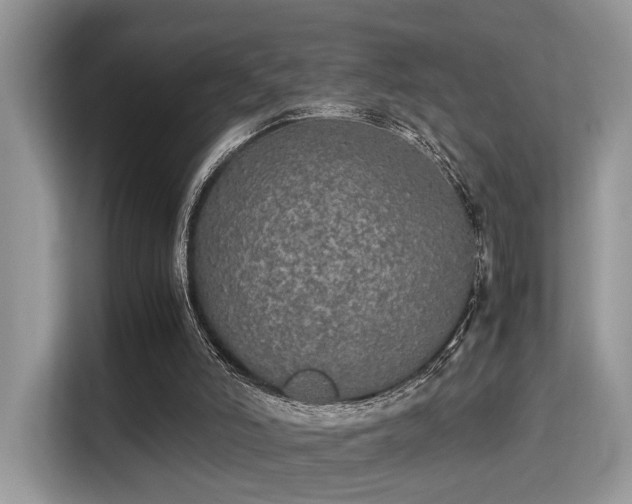 X0000115340006200911091314