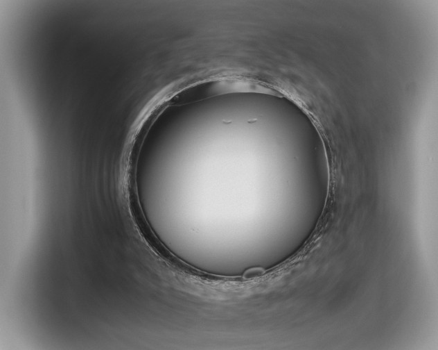 X0000115340007200911091314