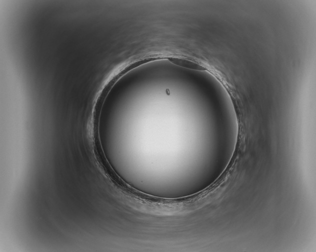 X0000115340008200911091314
