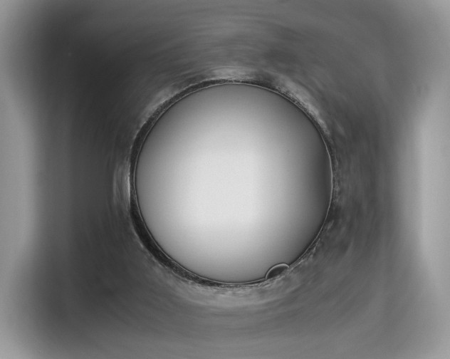 X0000115340011200911091314