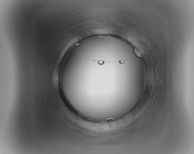 X0000115340015200911091314