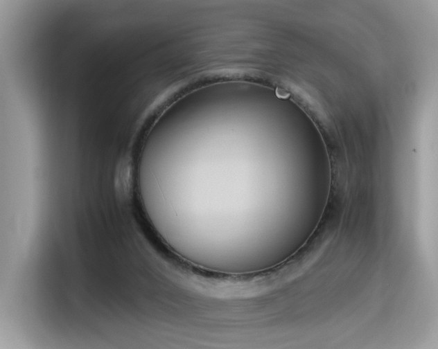 X0000115340016200911091314
