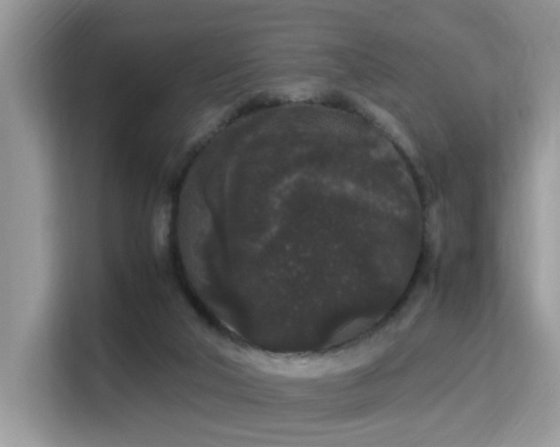 X0000115340018200911091314