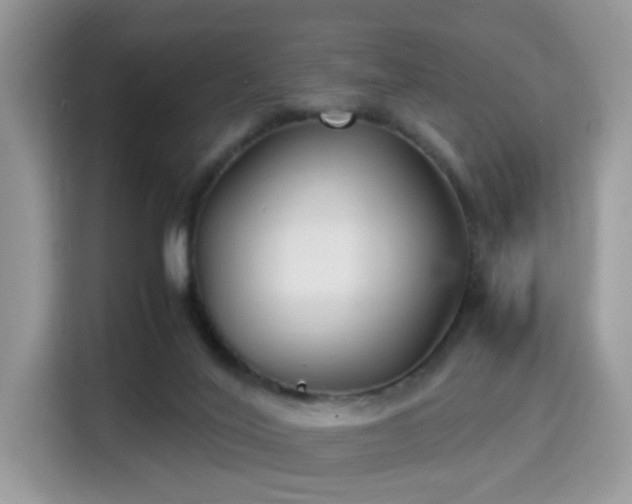 X0000115340020200911091314