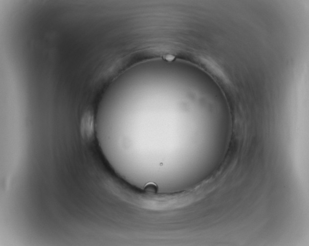 X0000115340021200911091314