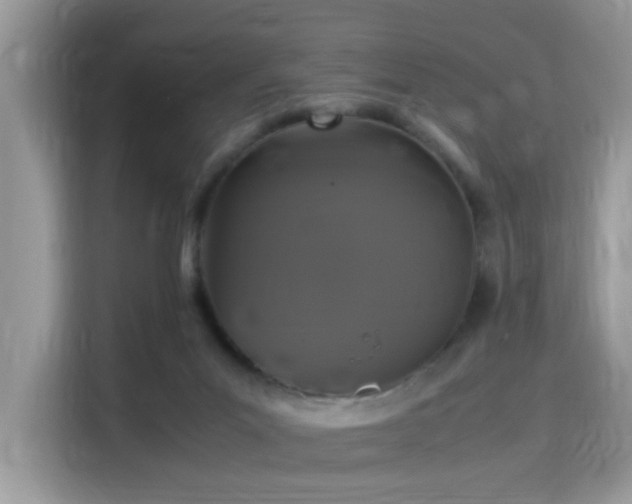 X0000115340023200911091314