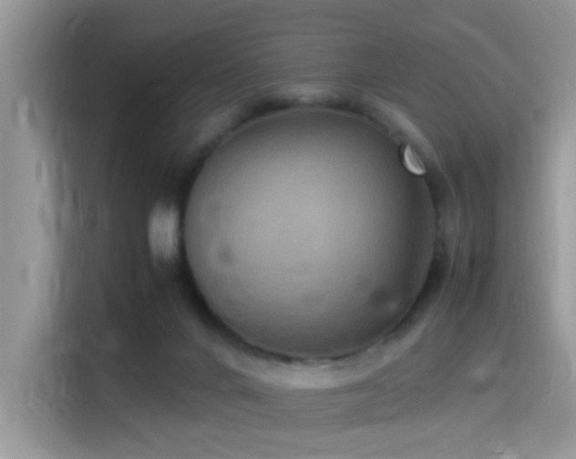 X0000115340024200911091314