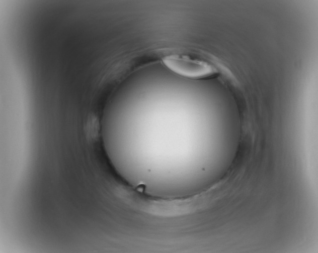 X0000115340025200911091314
