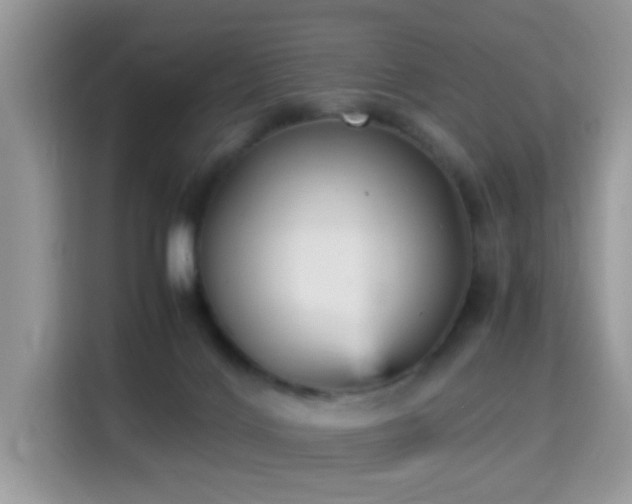 X0000115340028200911091314