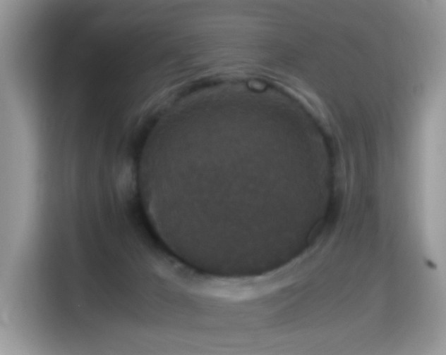 X0000115340029200911091314