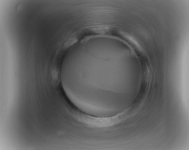 X0000115340031200911091314