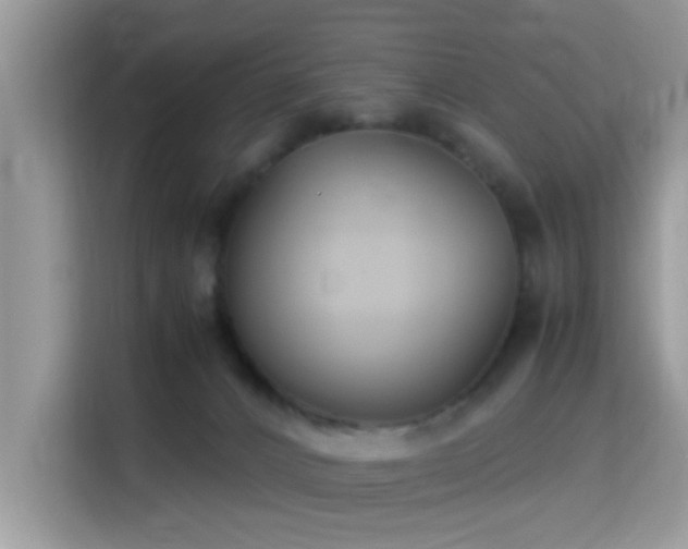 X0000115340032200911091314