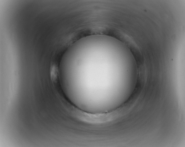 X0000115340038200911091314