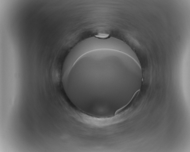 X0000115340039200911091314