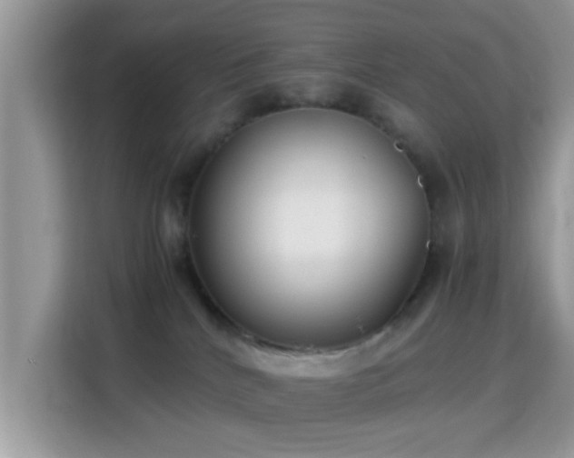 X0000115340040200911091314