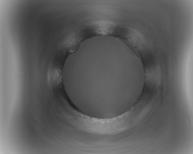 X0000115340043200911091314