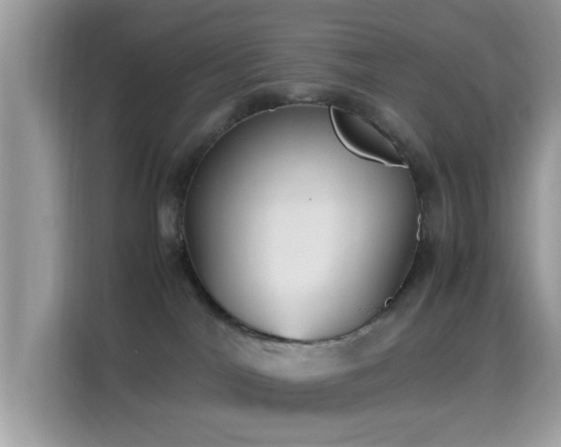 X0000115340044200911091314