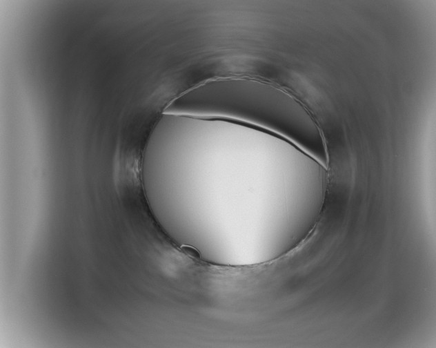X0000115340045200911091314