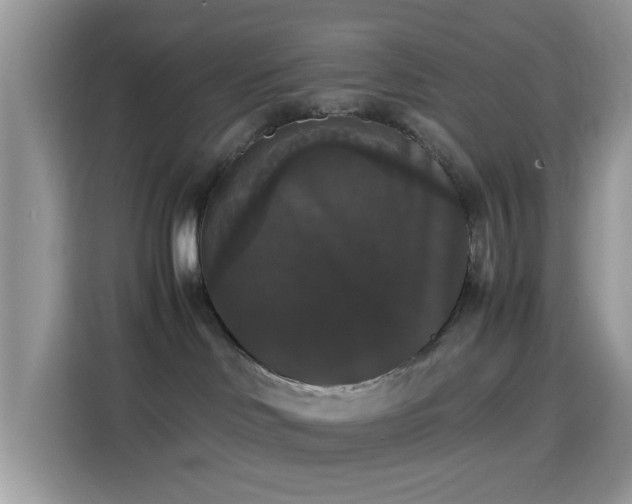 X0000115340046200911091314