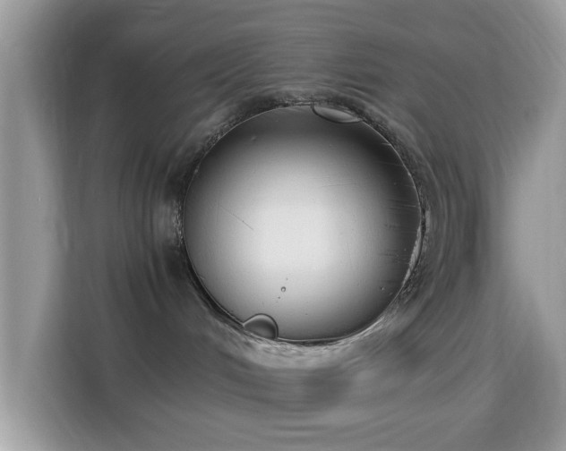 X0000115340048200911091314