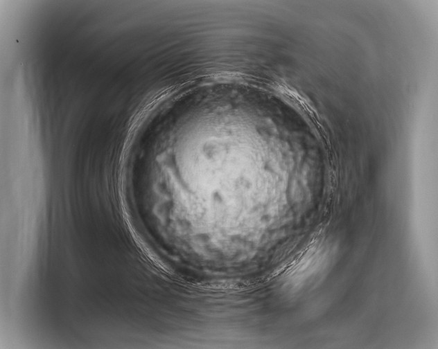 X0000115340049200911091313