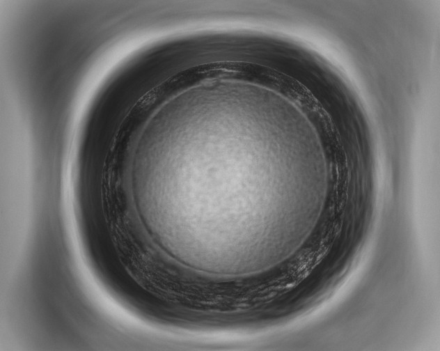 X0000115340050200911091313