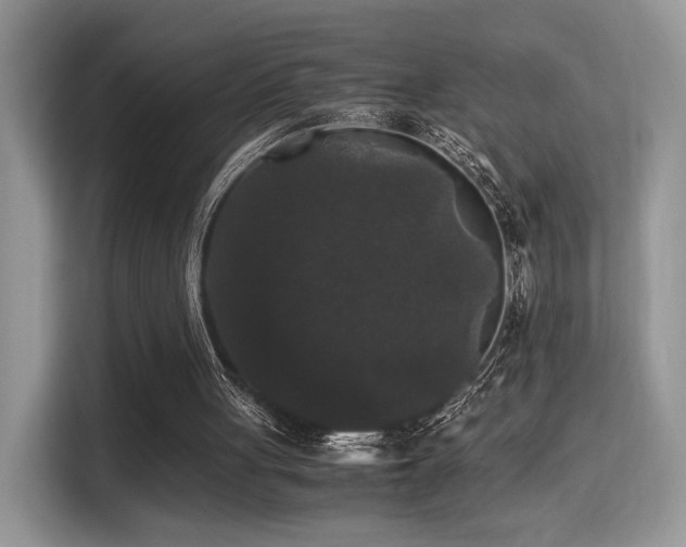 X0000115340051200911091313