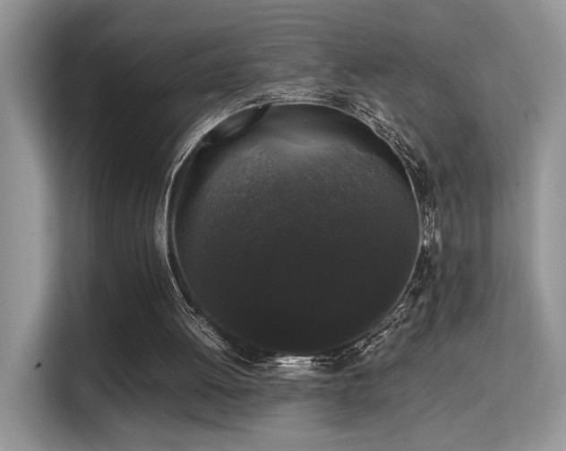 X0000115340052200911091313
