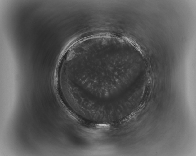 X0000115340053200911091313