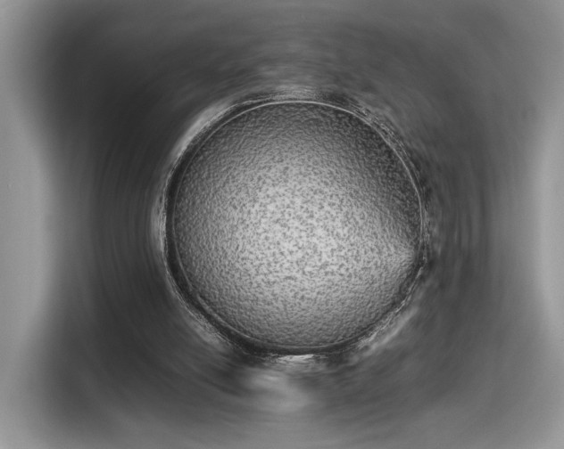 X0000115340054200911091313