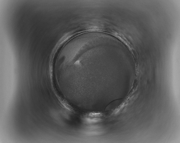 X0000115340055200911091313