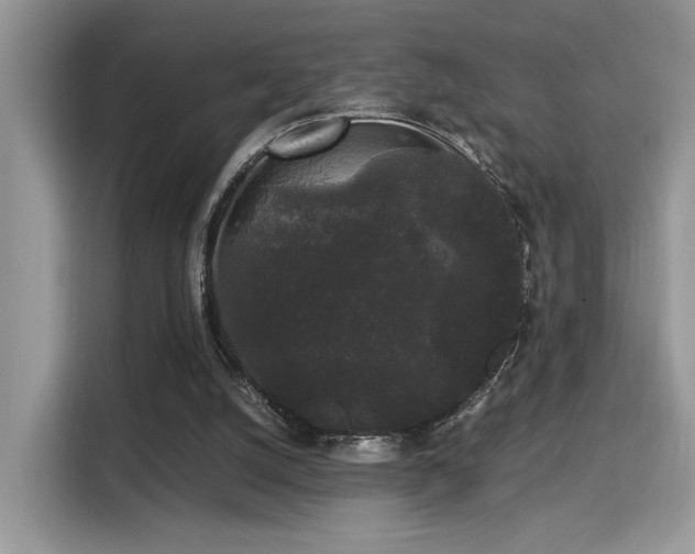 X0000115340056200911091313