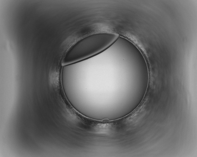 X0000115340057200911091313