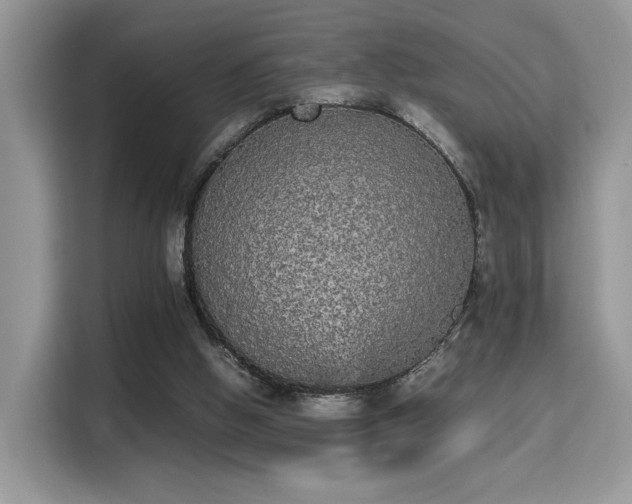 X0000115340058200911091313