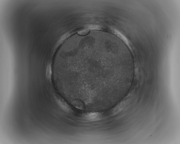 X0000115340059200911091313
