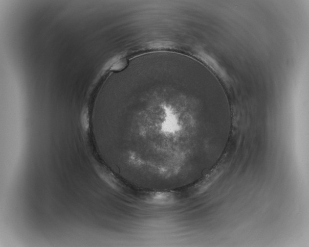 X0000115340060200911091313