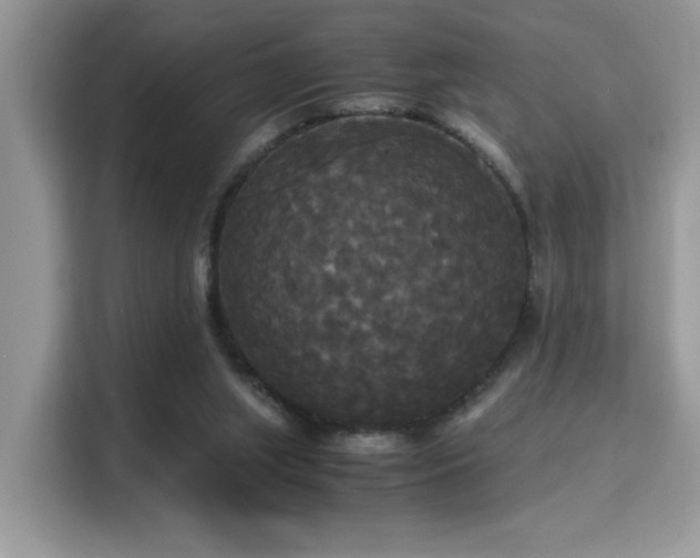 X0000115340063200911091313